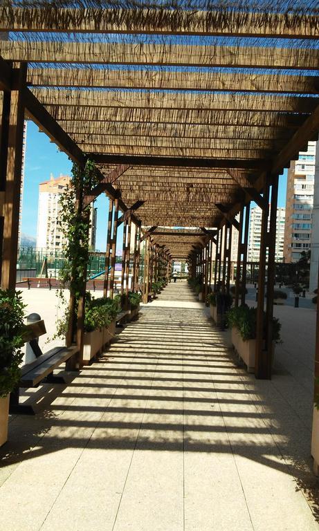 Apartment Carmentxu Gemelos 26 Benidorm Oda fotoğraf
