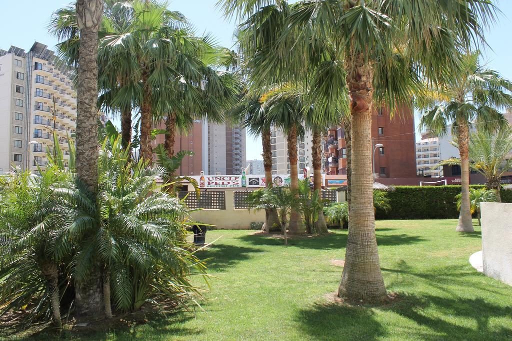 Apartment Carmentxu Gemelos 26 Benidorm Oda fotoğraf